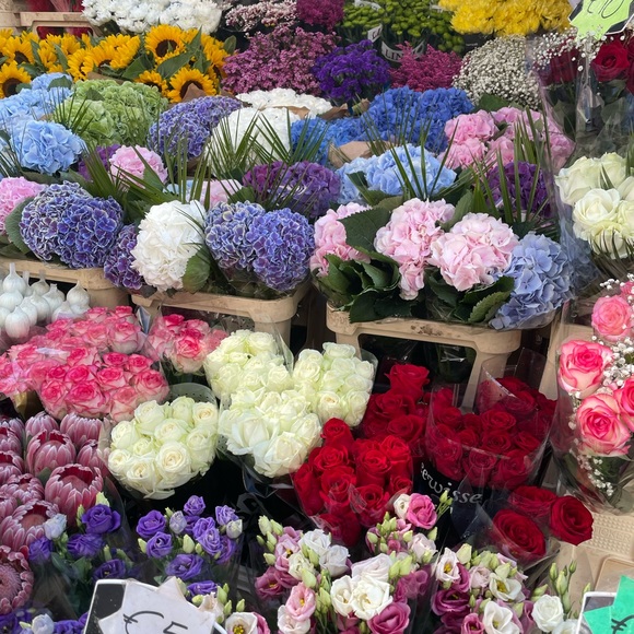 Meet your Posher, Angie - Picture 1 of 1